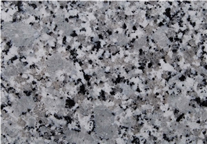 G753 Granite,Chinese Gris Perla,China Gris Perla Granite