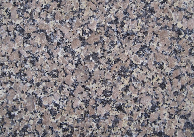 Giallo Fiorito Neimenggu,China Giallo Fiorito Granite