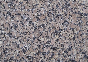 Giallo Fiorito Neimenggu,China Giallo Fiorito Granite