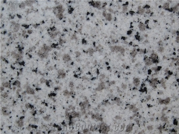 Huashan White Sesame Granite,White Huashan Granite,Huashan White Granite,Huashan Sesame White Granite,Huashan White Hemp