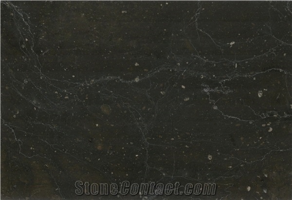 Ink Jade Limestone Slabs & Tiles, China Black Limestone