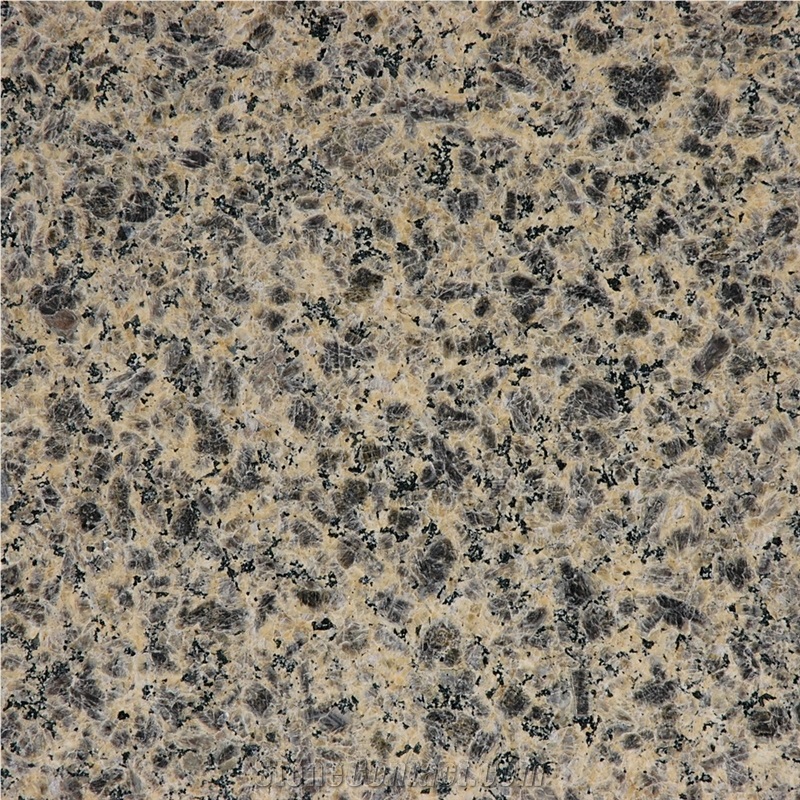 Leopard Skin Granite Zhangpu,Leopard Skin Flower Granite
