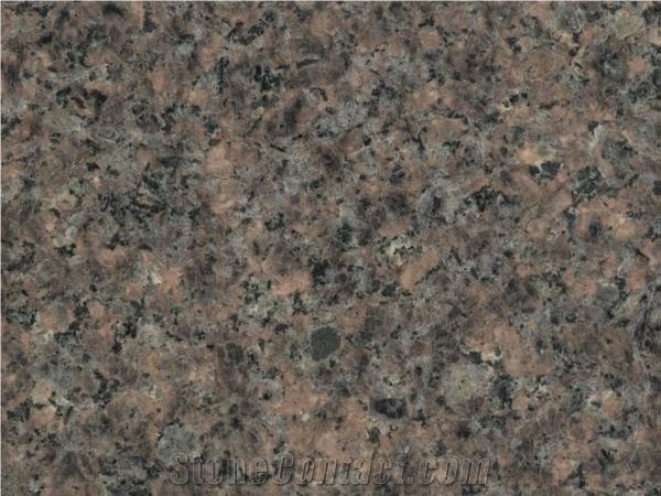 Rongcheng Grey Granite,New Rongcheng Gray Diamond Granite