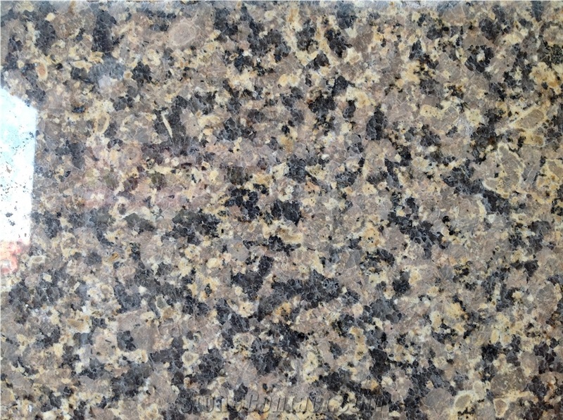 Saibei Jinma,Saibei Gold Granite,Hebei Gold Granite,Chongli Gold Granite