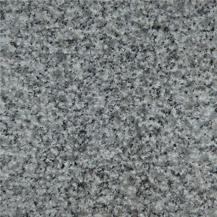 Owner Quarry High Quality China Popular G439 Light Grey Granite/Big Bala White Flower Granite Bush-Hammered Slabs & Tiles for Wall & Floor Covering