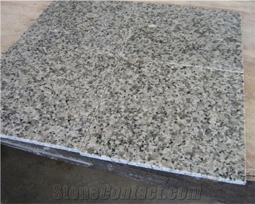 China Origin G439 Polished Slabs, Beta White Granite Stone,Gangsaw Polished Slab