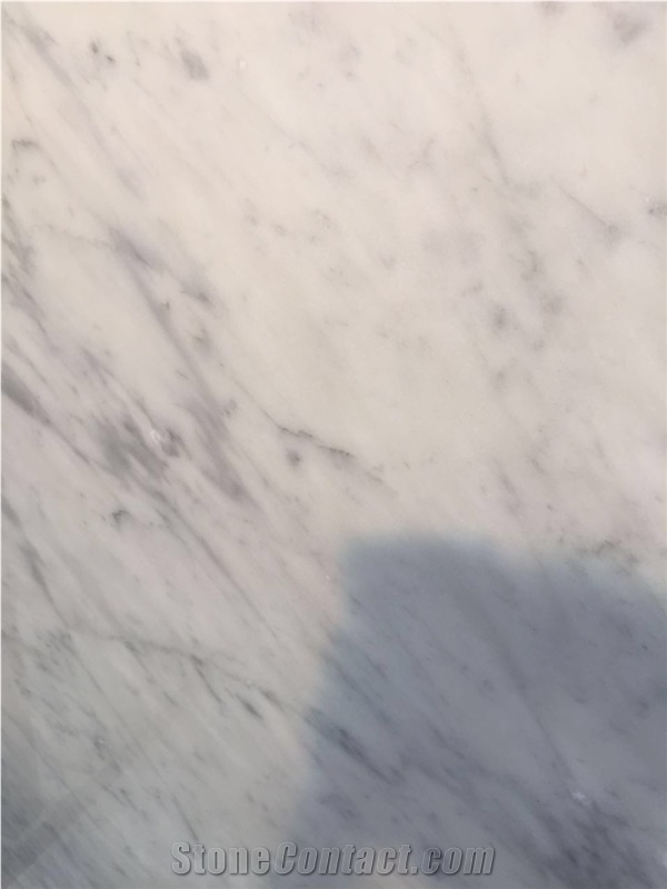 Carrara Marble Slab/Bianco Carrara Cd Slab