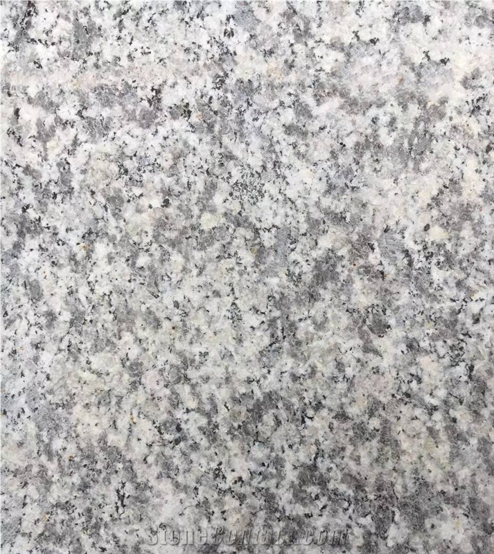 Chinese Bianco Sardo Cheap Grey Granite G623