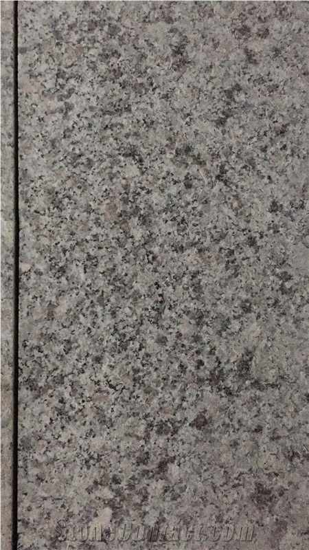 Chinese Bianco Sardo Cheap Grey Granite G623