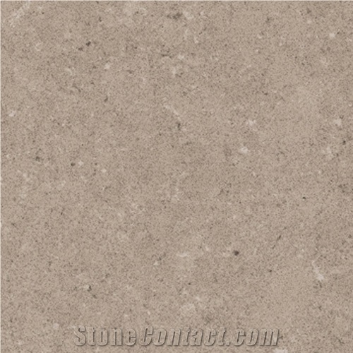 Shitake Grey a Mid-Grey Background Quartz Material with Marble-Limestone Appearance