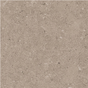 Shitake Grey a Mid-Grey Background Quartz Material with Marble-Limestone Appearance