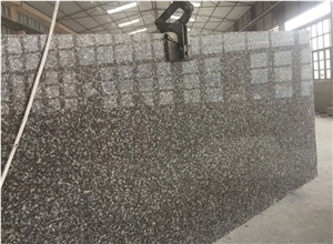 G664 Granit Slabs,G664 Granit Wall Tiles, G664 Granit Floor Tiles, G664 Granite Big Slabs, G664 Granite Opus Romano by Terry Stone