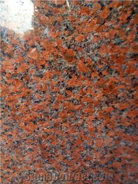Polished G562 Granite Steps/Maple Leaf Red Granite Stair/Maple Leaves Granite Stair Riser&Stair Treads/Mapple Red Granite Steps &Staircase