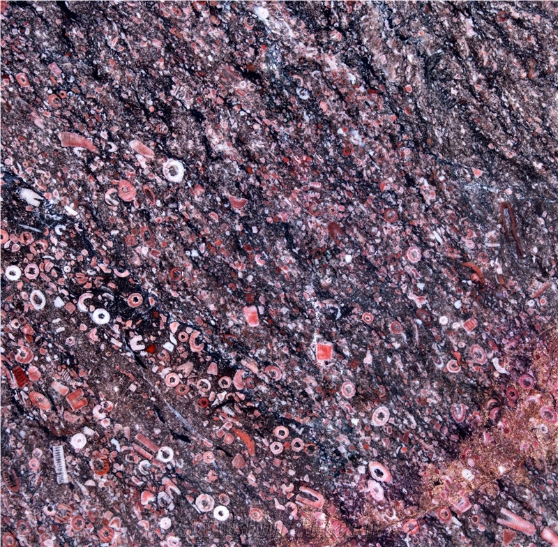 Popular New Marble Stone Ocean Red Marble Tile and Slabs