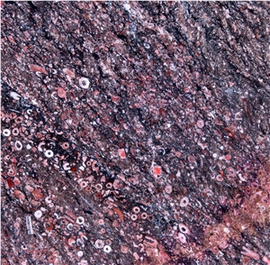 Popular New Marble Stone Ocean Red Marble Tile and Slabs