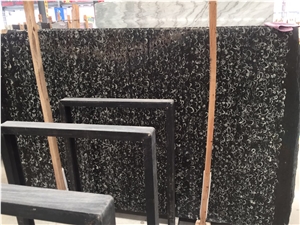 Black Fossil Marble Slabs and Tiles, Black Shell Marble Slabs, Black Marble with Shell Tiles, Polished Marble Tiles