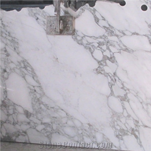 Arabescato Di Carrara Marble Tiles & Slabs/Bianco Arabescato/Arabascato Bianco