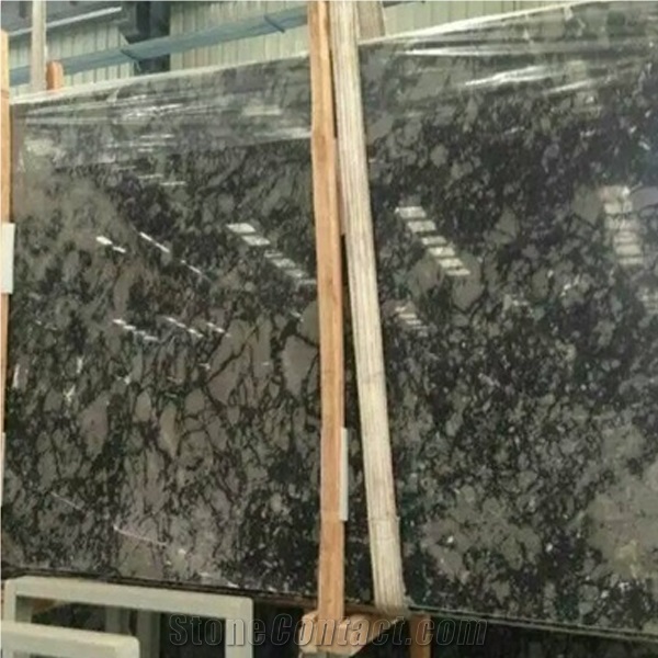 China Grey Wolf Polished Grey Marble Slabs & Tiles