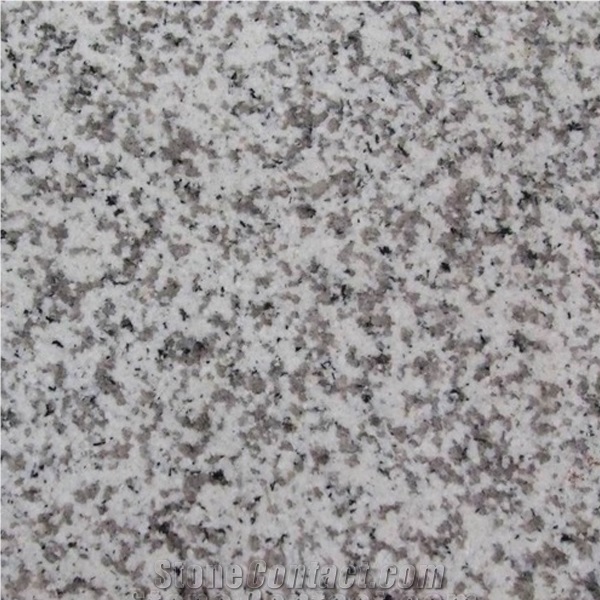 Tongan White Granite/Hazel White Granite/Rice Grain White Granite/G655 Pearl White
