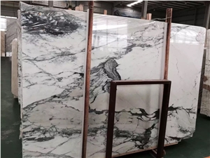 Arabescato,Arabescato Marble,Arabescato Marble Tiles&Slabs