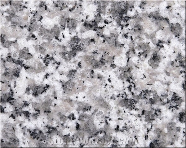 China Origin G623 Polished Granite Slab, China Bianco Sardo, Light Gray Stone for Countertop, Worktop, Granite Tile and Patterns