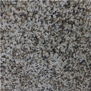 China Origin Jiangxi Green Granite Slab, Commonly Used in Countertop, Worktop, Tile and Interior Wall Panels