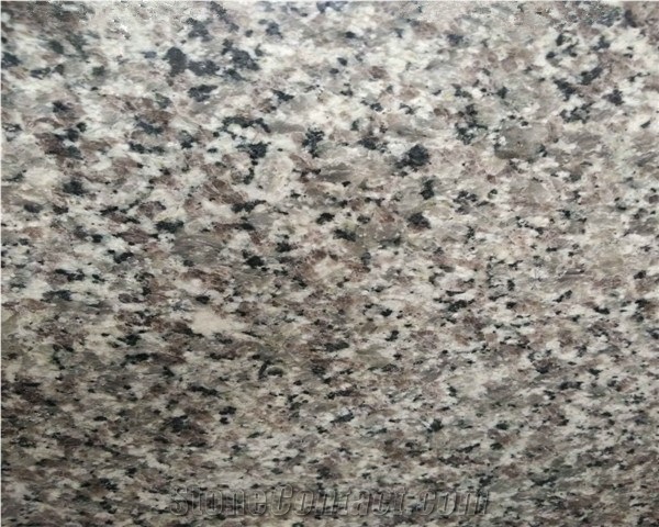 Swan White Granite Slab, Commonly Used in Counter Tops and Bars, Interior Wall Panels, Water Walls