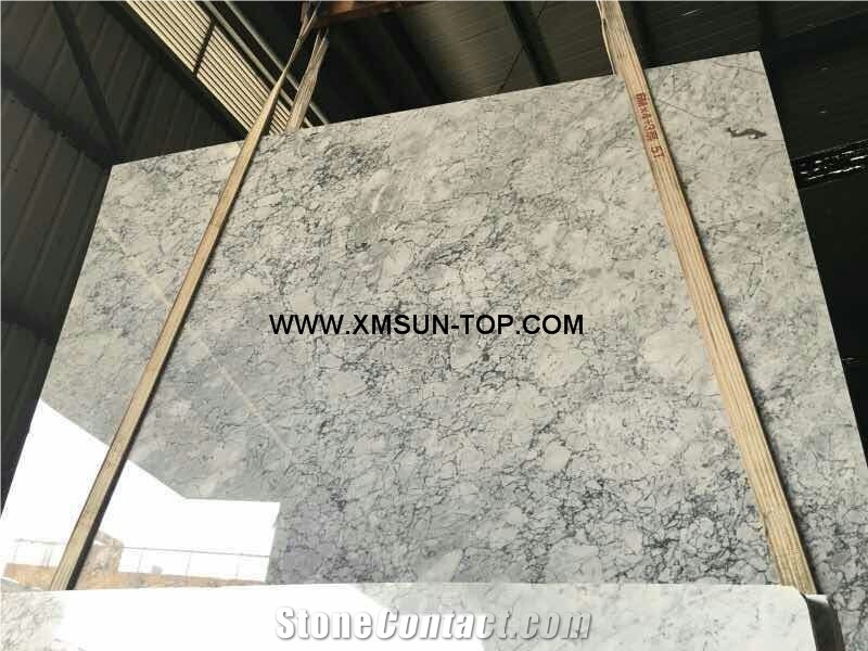 Polished Prague Grey Marble Slabs&Tile&Customized/China Grey Marble Panel for Floor Covering&Wall Cladding/Interior Decoration/Chinese Grey Marble for Hotel&Mall Hall/Popular&Hot Sale Marble/A Grade