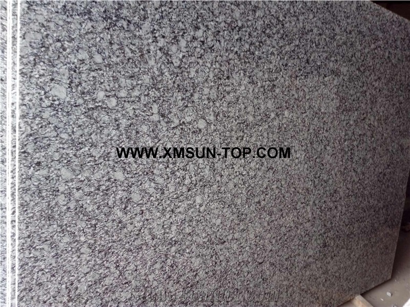 Polished Sea Wave Flower Granite Gangsaw Big Slab & Customized/Spray White Granite for Wall Covering&Wall Cladding/White Wave Granite for Flooring/G423 Granite Panels/Silvery Grey Granite/A Grade