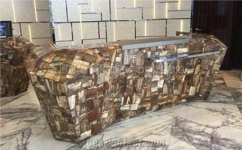 Brown Fossil Wood Precious Stone Slabs/Semiprecious Building Stone Material/Gorgeous Table Decoration/Gemstone Slabs/Luxury Wall Decoration Stone Tiles