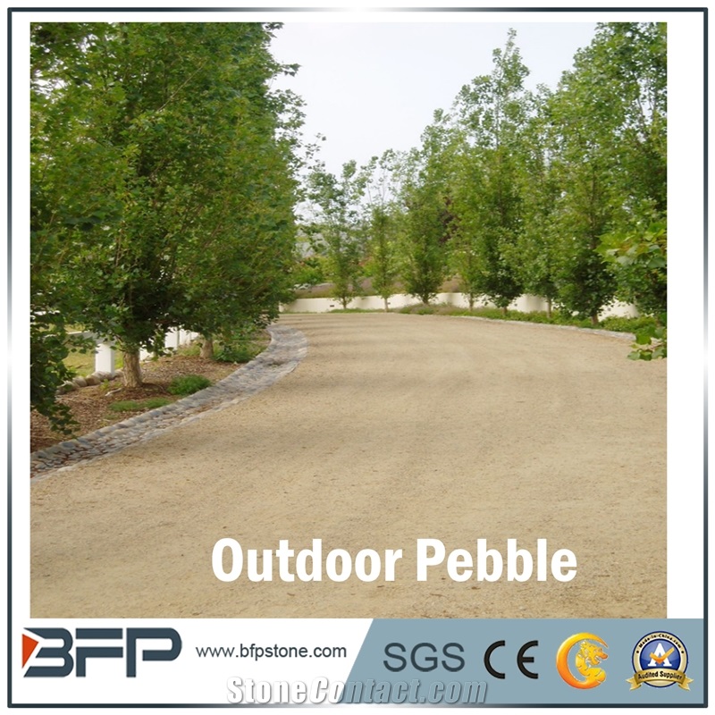 Pebble Stone, Wholesale Pebble, Pebble Wash Flooring