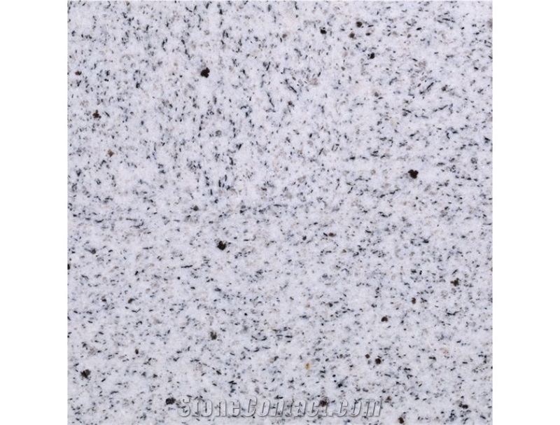Oph005 White Grey Granite Slabs Good Quality China