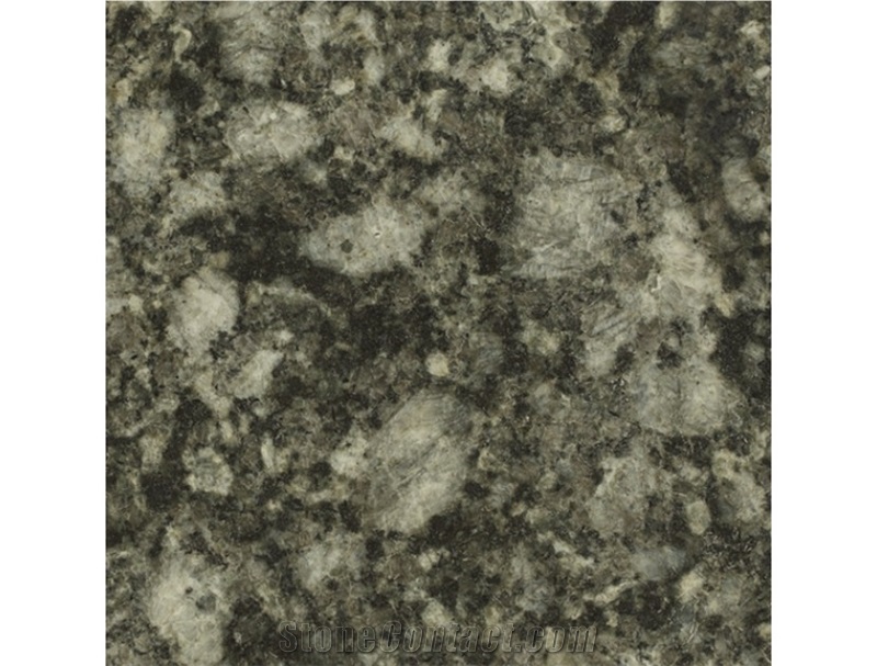 Oph028 Cheap Dark Green Granite Slab Slabs China