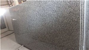 China Swan White Granite Slabs/Cheapest Chinese Granite/Swan Grey Granite
