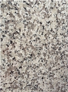 G439 Granite Slabs & Tiles, China White Granite