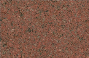 Bd Red Granite Slabs/ Tiles, Viet Nam Red Granite