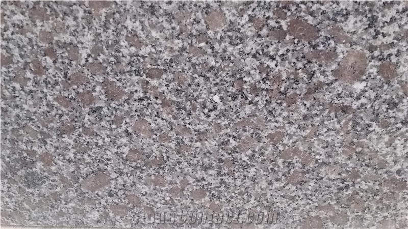 Binh Dinh Violet/ Pc Violet/ Lilac Granite Slabs/ Tiles