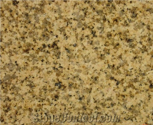 Binh Dinh Yellow Granite Slabs / Tiles, Viet Nam Yellow Granite