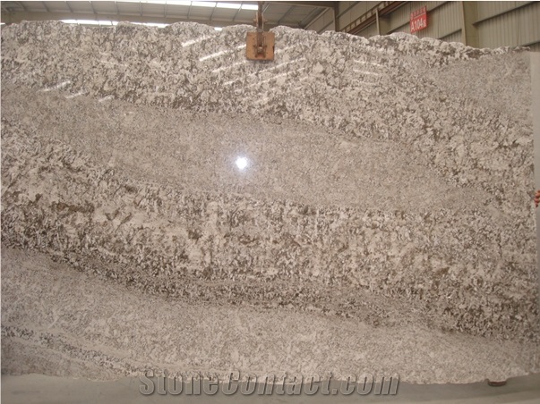 Flying Fox Of Snowy Mountain Polished Granite