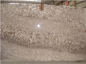 Flying Fox Of Snowy Mountain Polished Granite