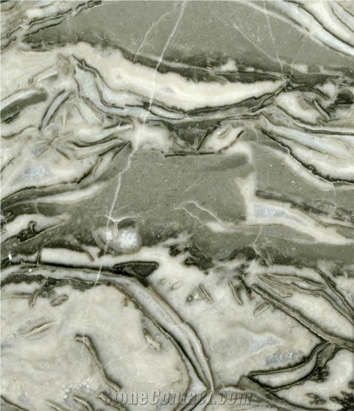 Marble Stone Flooring Slabs & Tiles, China White Marble