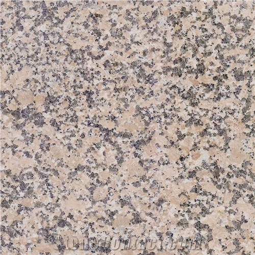 Chinese Cheap Rosy Red & Rosa Porrino & Rosy Pink Granite Slab Tiles for Indoor & Outdoor Walls, Floors, Etc.