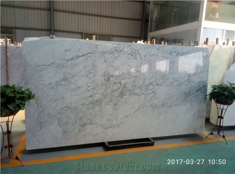 Carrara White Marble/Bianco Carrara/Carrara/Bianco Carrara Slabs ...