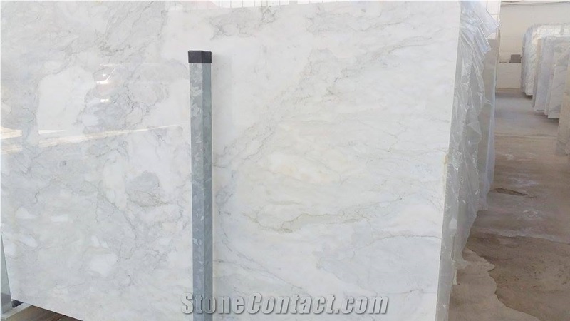 Calacatta B From Italy - StoneContact.com