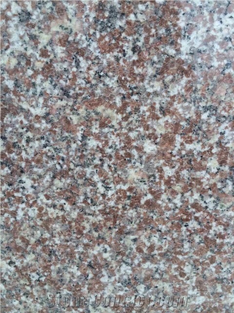 New China G664 Pink Granite Slabs/Tile for Exterior-Interior Wall, Floor, Wall Capping, Stairs Face Plate, Window Sills, Big Slabs