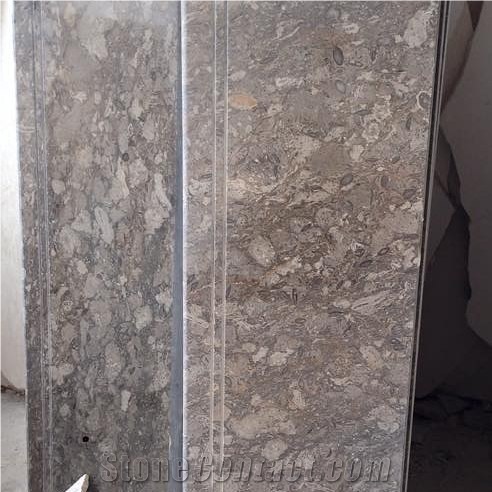 Fossil Grey Marble Slabs & Tiles, Pakitan Grey Marble Tiles and Slabs,