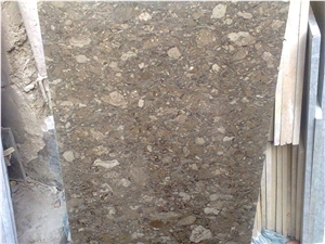 Fossil Grey Marble Slabs & Tiles, Pakitan Grey Marble Tiles and Slabs,