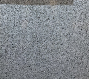 Chinese Cheap White Platinum Granite Tile & Slab
