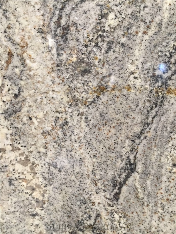 Polished Granite Big Slab Sage Brush Granite Slabs Imported Granite