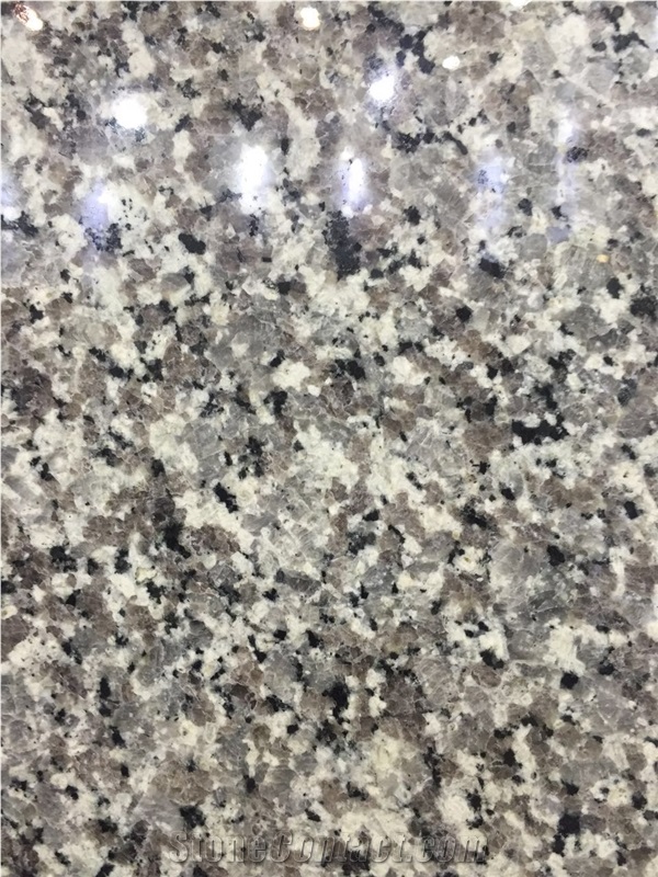 Swan White Granite Tile Size 60x60 Polished Low Price